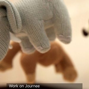 Meet your Posher, Dana